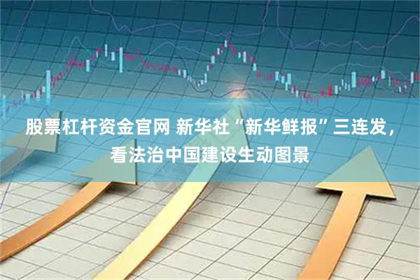 股票杠杆资金官网 新华社“新华鲜报”三连发，看法治中国建设生动图景